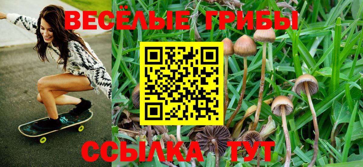 Галлюциногенные грибы ЛСД  Вход с VPN  Черняховск 